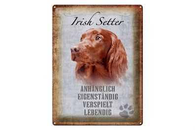 Blechschild Spruch 30x40cm Irish Setter Hund Schild