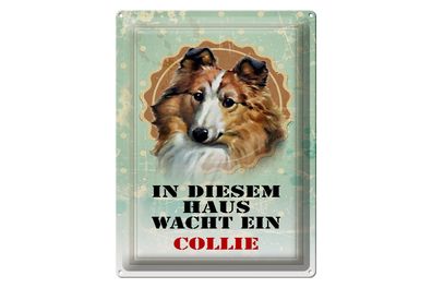 Blechschild Hund 30x40cm in diesem Haus wacht ein Collie