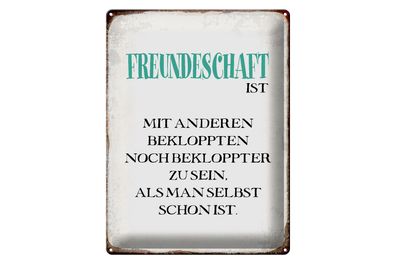 Blechschild Spruch 30x40cm Freundschaft ist mit anderen