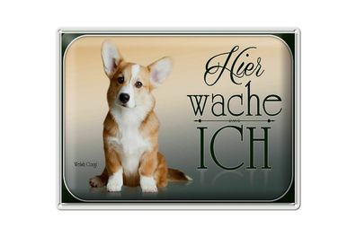 Blechschild Hund 40x30cm Chihuahua hier wache ich