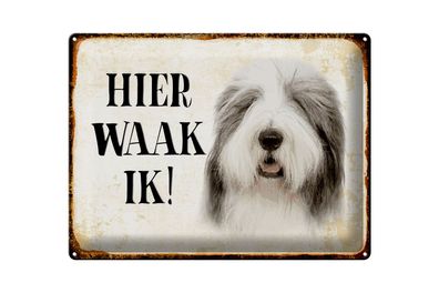 Blechschild Spruch 40x30cm holländisch Hier Waak ik Bobtail Hund Deko