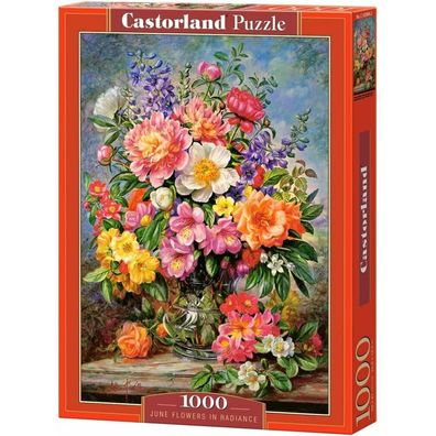 Castorland Puzzle Juni Blumen 1000 Teile