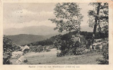 Ansicht Rachel von Waldhäuser aus Gasthaus zu Lusen Bayern Postkarte AK 1912