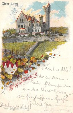 Gruss aus Würzburg mit Stein-Burg Bayern Postkarte AK 1898