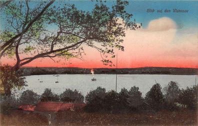 Blick auf den Wannsee Berlin Feldpostkarte 1913