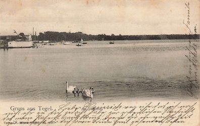 Gruss aus Tegel mit Seepartie Berlin Postkarte AK 1906