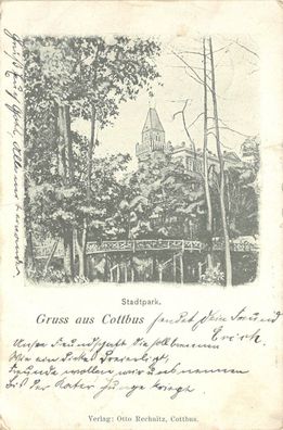 Gruss aus Cottbus Stadtpark Postkarte 1900