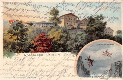 Gruss vom Niederwald Rüdesheim Schloss Rheinstein Bingen Litho AK 1900