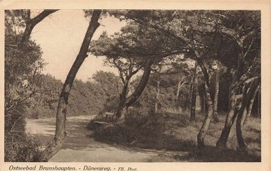 Ostseebad Brunshaupten Dünenweg Postkarte AK