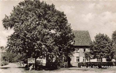 Waldschränke in Born auf Darß Rügen Mecklenburg-Vorpommern Postkarte AK 1962