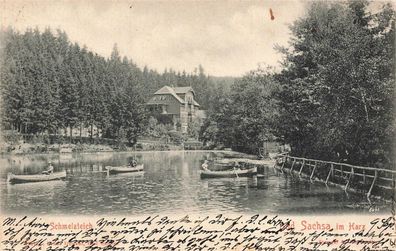 Bad Sascha Schmelzteich Niedersachsen Postkarte AK 1902