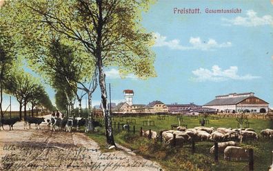 Gesamtansicht von Freistatt Niedersachsen Postkarte AK 1913