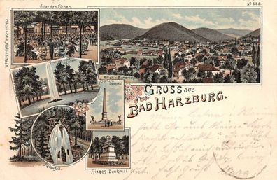 Gruss aus Bad Harzburg Radaufall Fontaine Eichen Fichten Niedersachsen AK 1897