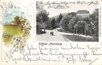 Schloss Arensburg, Niedersachsen Postkarte 1906