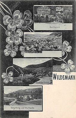 Wildemann Eisenbahn Tunnel, Villa Kracke Niedersachsen Postkarte AK 1906