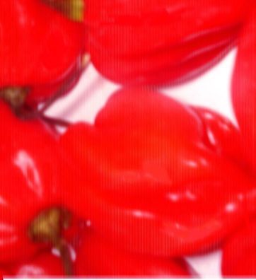 Zierpflanze : Habanero Red Chilli - 1000 Mal schärfer als eine Peperonie - Samen