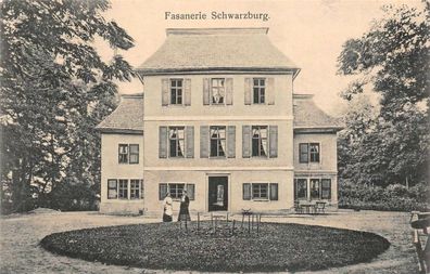 Fasanerie Schwarzburg Postkarte AK