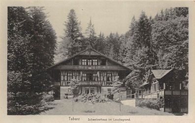 Schweizerhaus im Lauchagrund in Tabarz Thüringen Postkarte AK