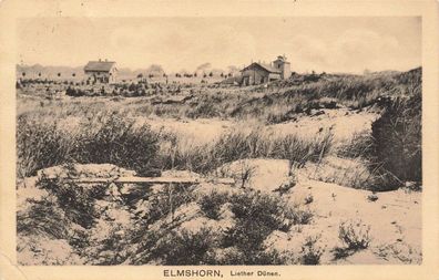 Elmshorn Liether Dünen Postkarte AK 1912