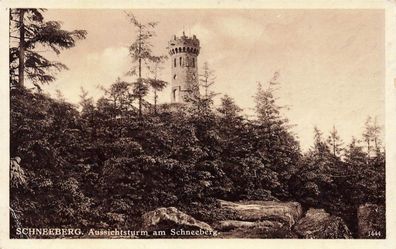 Aussichtsturm am Schneeberg Tetschen-Bodenbach Böhmen Postkarte AK 1942