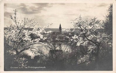 Crossen (Oder) Kirche, See, Frühlingsschmuck Postkarte 1930