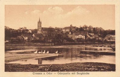 Oderpartie mit Bergkirche Crossen an der Oder Ostbrandenburg Postkarte AK