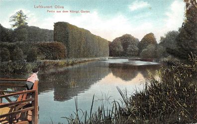 Luftkurort Oliva Partie aus dem Königl. Garten Danzig Postkarte AK