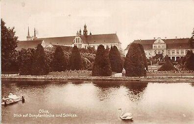 Oliva Blick auf Dompfarrkirche und Schloss Postkarte AK