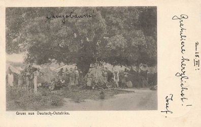 AK Deutsch-Ostafrika DOA Mangobaum gel. Dar-es-Salaam 1901