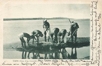 AK Deutsch-Ostafrika DOA Calre Prise d`un Crocodil gelaufen Tanga 1899