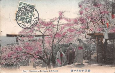 Tsingtao Tsingtau ?? ? Geishas Kiautschou China Kolonien 1912