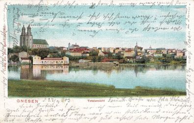 Totalansicht mit Dom in Gnesen Posen Postkarte AK 1903