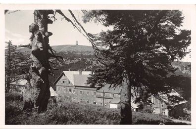 Altvatergebirge Schäferei und Altvaterturm (1490m) Vysoky Jesenik Postkarte AK