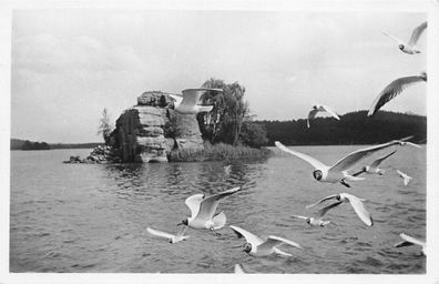 Sudetenland Thammühl am See Postkarte