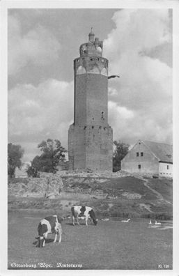 AK Strasburg Westpreußen Kuh am Amtsturm 1942