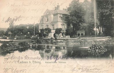 Kaiserliches Schloss in Cadinen bei Elbing Westpreussen Postkarte AK 1905