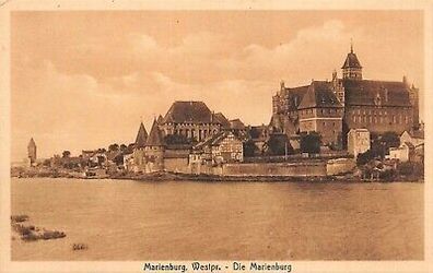 Marienburg Westpr. Die Marienburg Postkarte AK