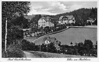 Bad Charlottenbrunn (Jedlina-Zdrój) Villen am Karlshain AK 1940