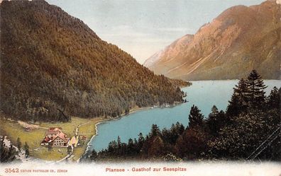 Plansee Gasthof zur Seespitze Postkarte AK