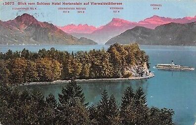 Blick vom Schloss Hotel Hertenstein auf Vierwaldstättersee Postkarte AK 1929