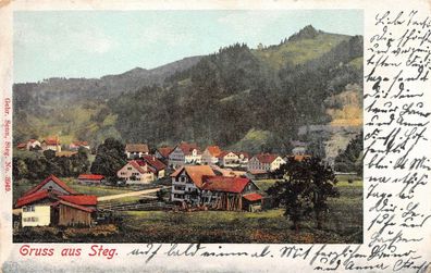 Gruss aus Steg Schweiz Postkarte 1901