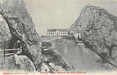 Pilatus Hotel Bellevue mit Esel (2132 m) Postkarte AK 1906