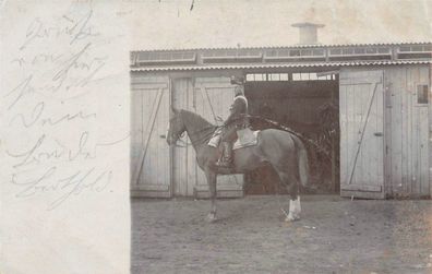 Orig. Foto Sächs. Husar König Albert Nr. 18 Großenhain Feldgrauen zur Pferd 1901