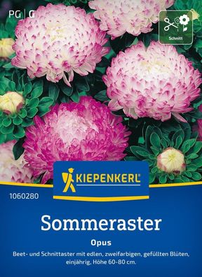 Sommeraster Opus, Beet- u. Schnittaster - zweifarbig - gefüllte Blüten - Höhe