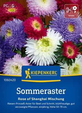 Sommeraster Rose of Shanghai Mix, Riesen-Prinzeß-Aster für Beet und Schnitt