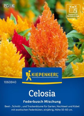 Celosia Federbusch Mischung, Beet-, Schnitt- und Trockenblume für Garten,