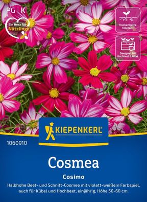 Cosmea Cosimo, Halbhohe Beet- und Schnitt-Cosmee - auch für Kübel und