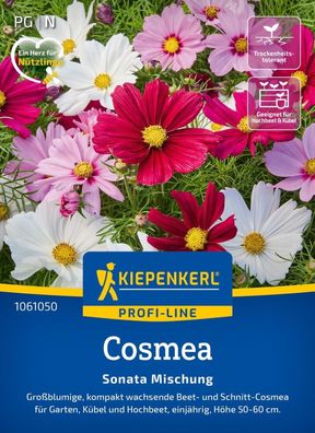 Cosmea Sonata Mischung, Großblumig, kompakt wachsende Bett- und