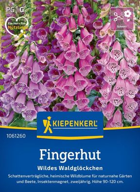 Fingerhut Wildes Waldglöckchen, Schattenverträgliche, heimische Wildblume