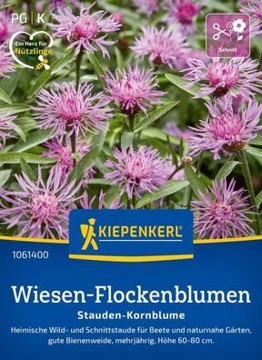 Wiesen-Flockenblumen, Wild- und Schnittstaude - gute Bienenweide - mehrjährig